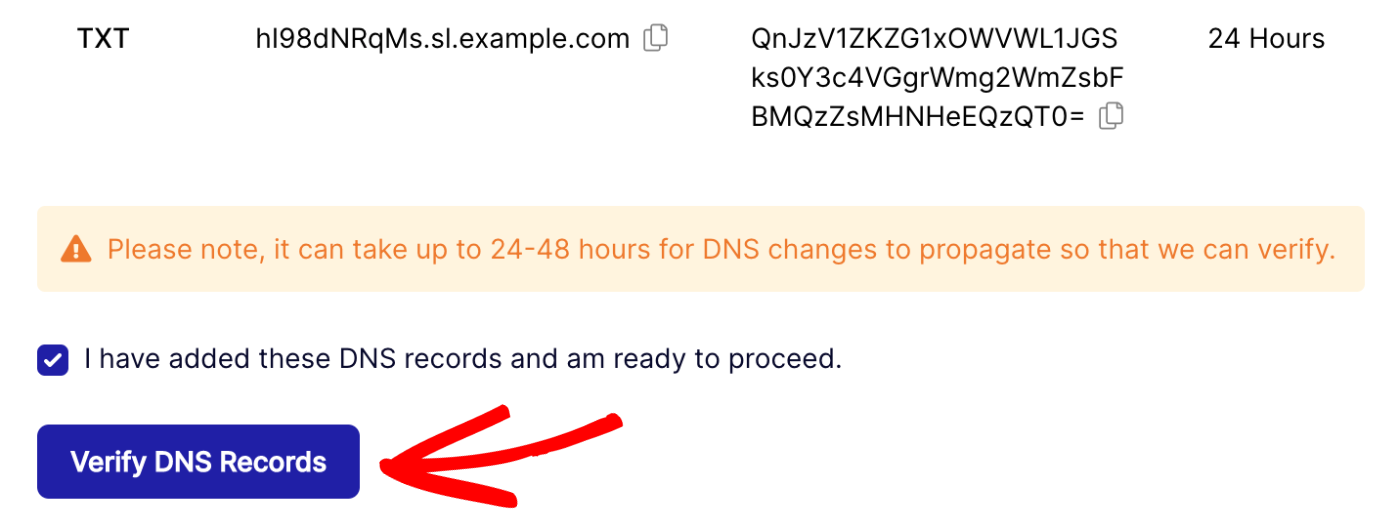click to verify DNS records
