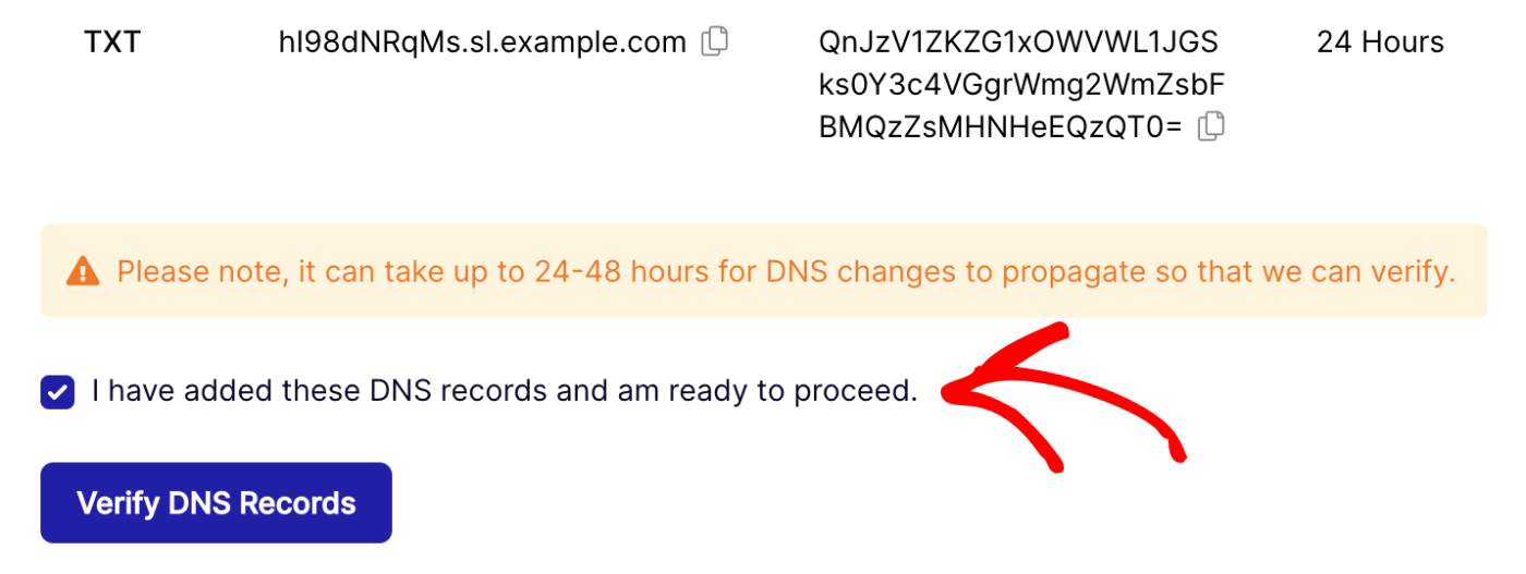 proceed to verify dns settings checkbox