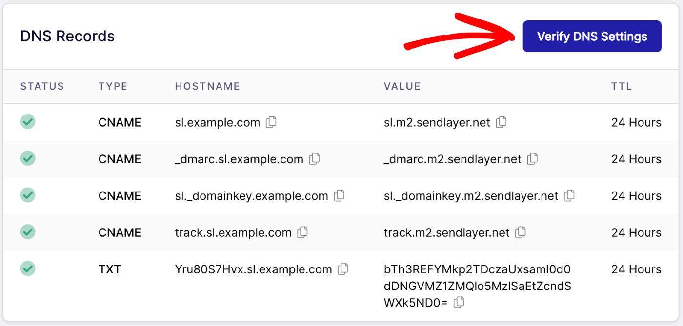click to verify DNS settings
