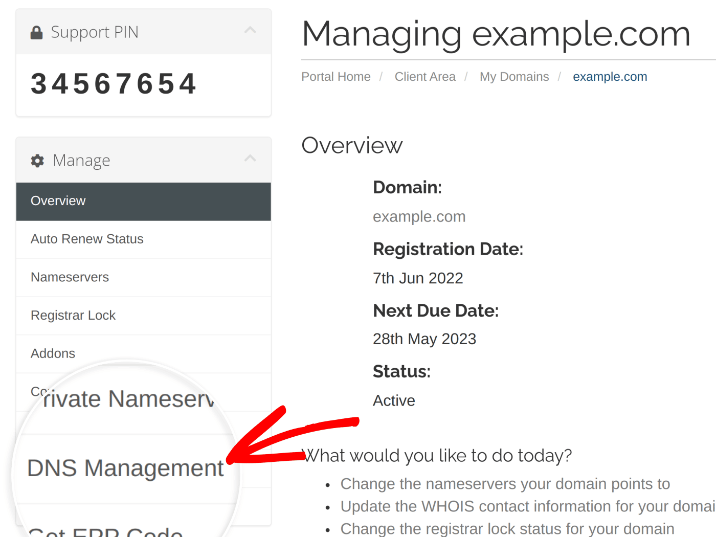 Click DNS Management