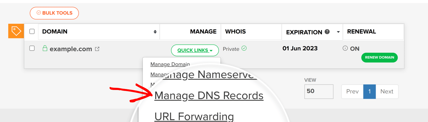 Click Manage DNS Records in the QUICK LINKS menu.
