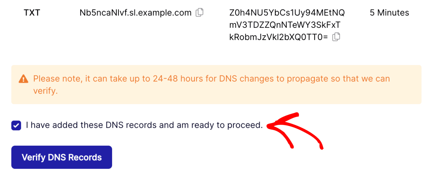 check-to-proceed-to-verify-dns-records