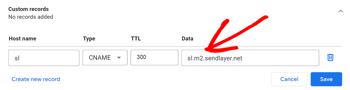 Data field in custom DNS record Google Domains