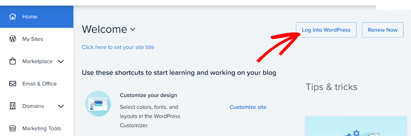 Log into WordPress
