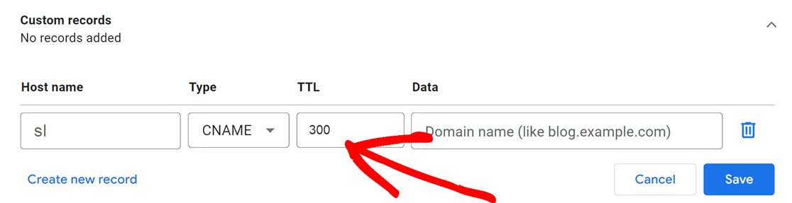 Adding TTL to custom DNS record