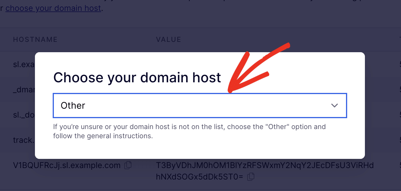 Choose Other as domain host
