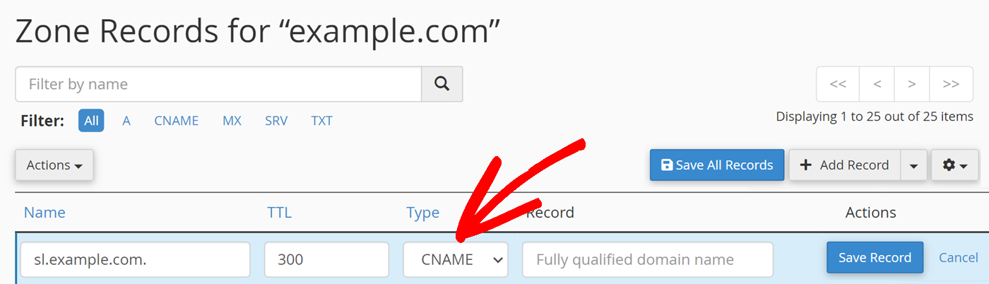 Select DNS Type