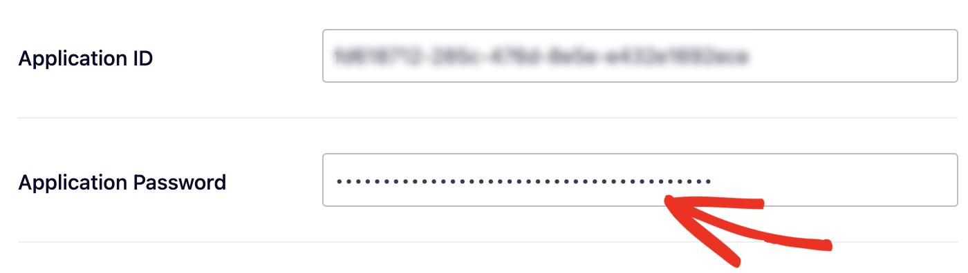 Paste Value in Application Password field