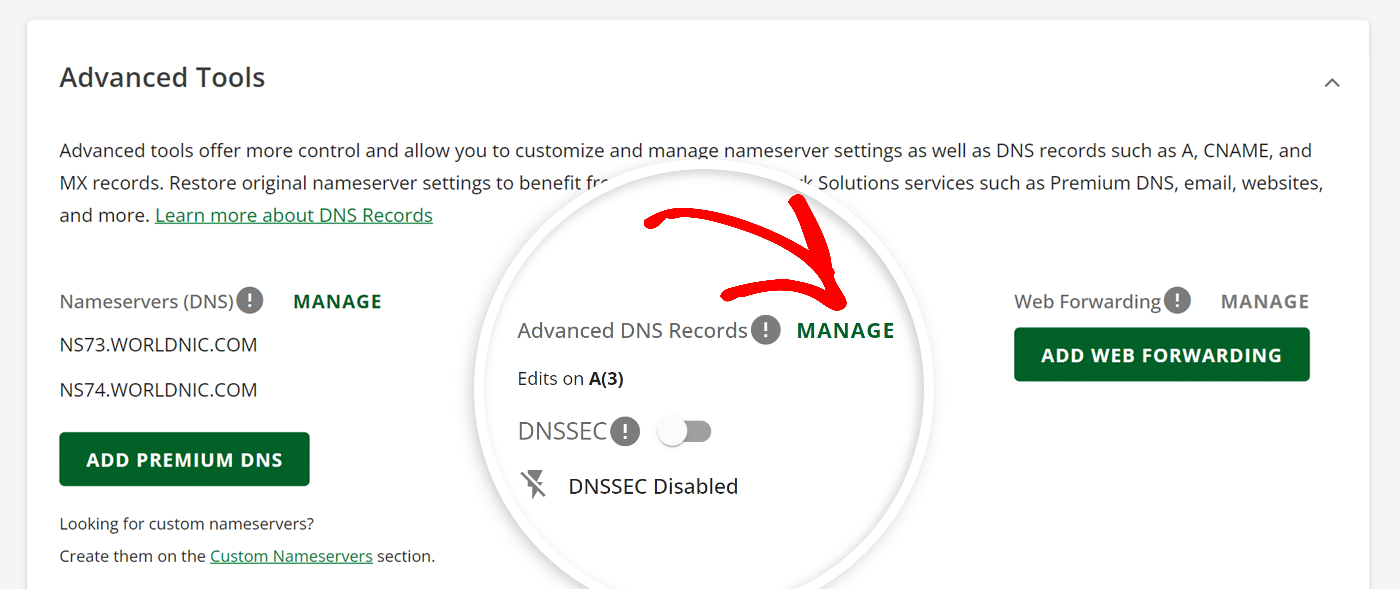 Manage Advanced DNS Records