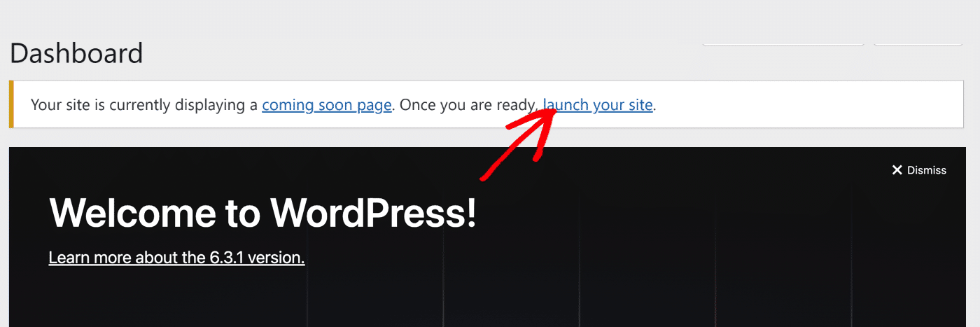 Launch WordPress site