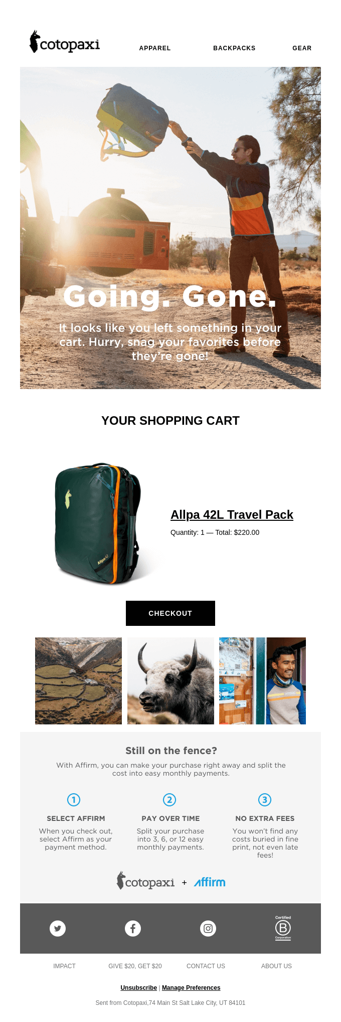 Cotopaxi abandoned cart email