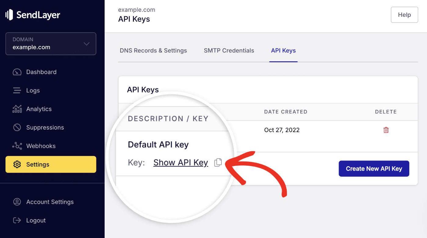 Copy API key
