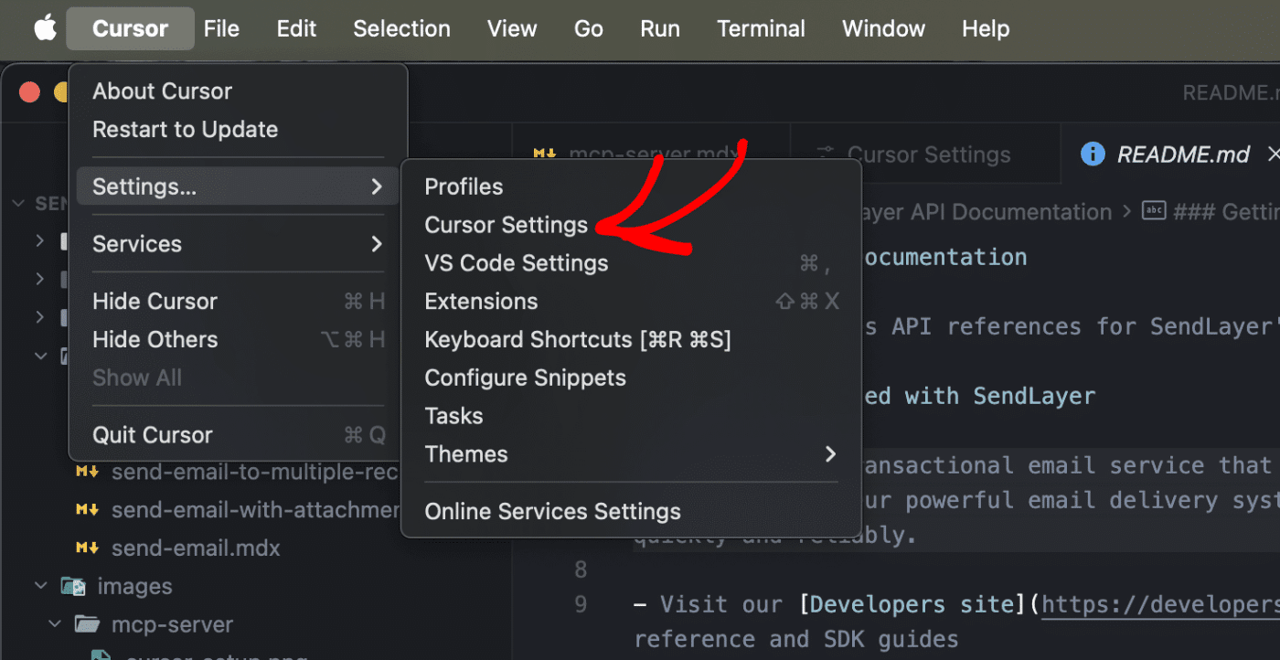 Access Cursor Settings