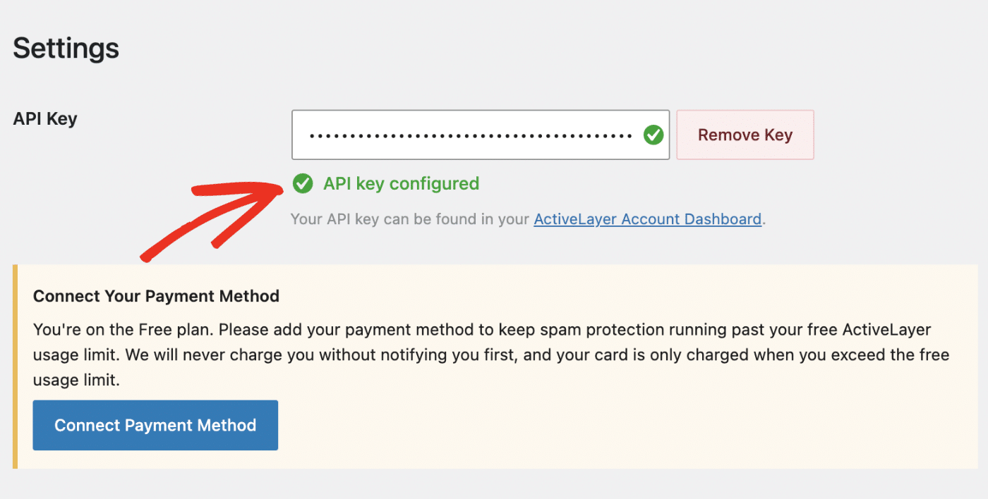 ActiveLayer settings showing a green API key configured confirmation with a Remove Key button